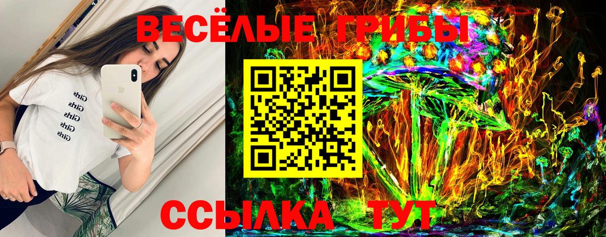 Корсаков  Псилоцибиновые грибы Psilocybine cubensis  Вход с VPN 